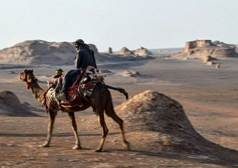 Camel Trekking